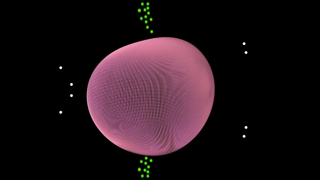 Plasma Membrane