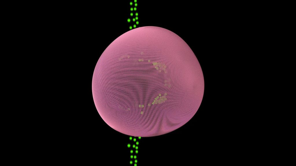 Plasma Membrane