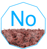 The Periodic Table Nobelium