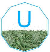 The Periodic Table Uranium