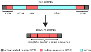 AP Biology slyacademy.com