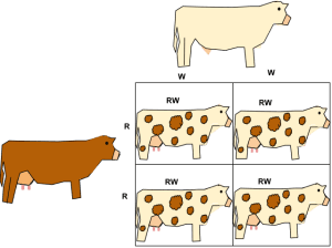 AP Biology slyacademy.com