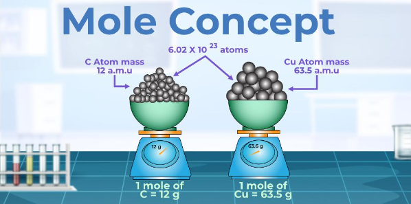 1.1 Moles and Molar Mass