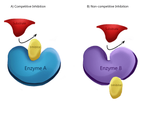 AP Biology slyacademy.com