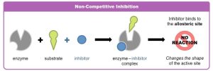 AP Biology slyacademy.com