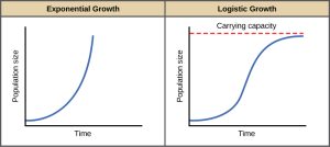 AP Biology slyacademy.com