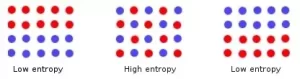 AP Biology slyacademy.com