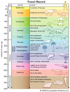 AP Biology slyacademy.com