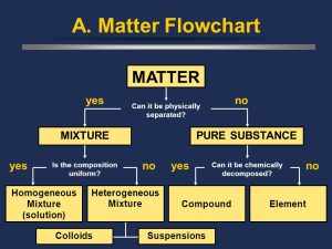 AP Biology slyacademy.com