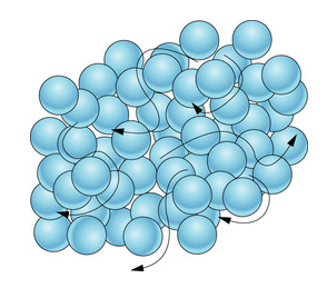 AP Biology slyacademy.com