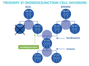 AP Biology slyacademy.com