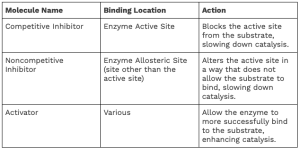 AP Biology slyacademy.com