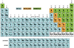 AP Biology slyacademy.com