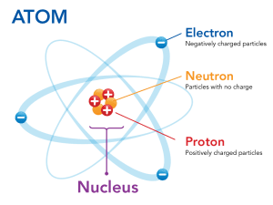 AP Biology slyacademy.com