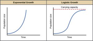 AP Biology slyacademy.com