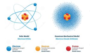 AP Biology slyacademy.com