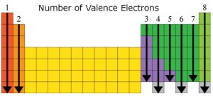 AP Biology slyacademy.com