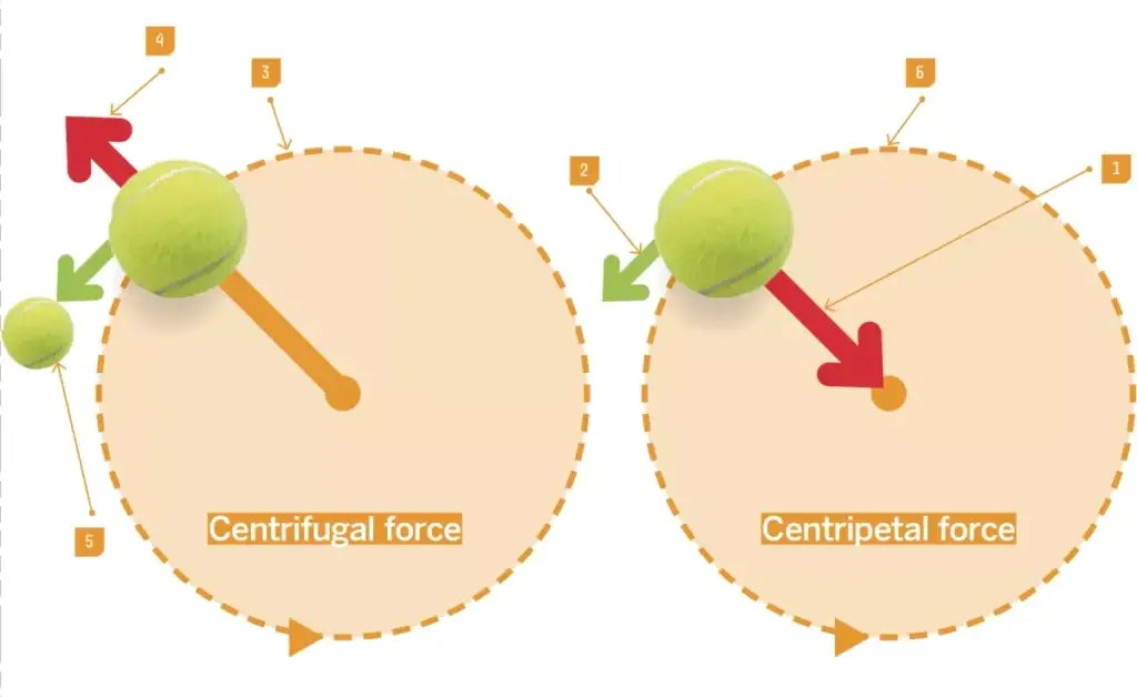 Consequences of Centrifugal and Centripetal Forces