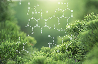 1.1 Interaction of Heredity and Environment