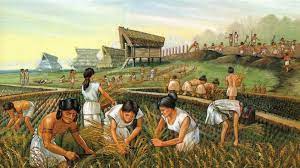 Second Agricultural Revolution