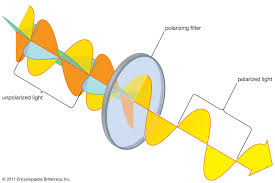 What is Polarization