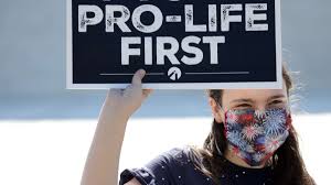 What is Pro Life