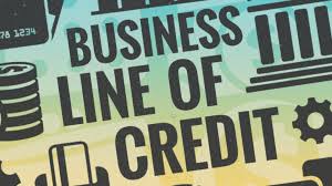 Business Line of Credit: Everything You Need to Know