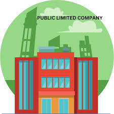 Public Limited Company: Everything You Need to Know