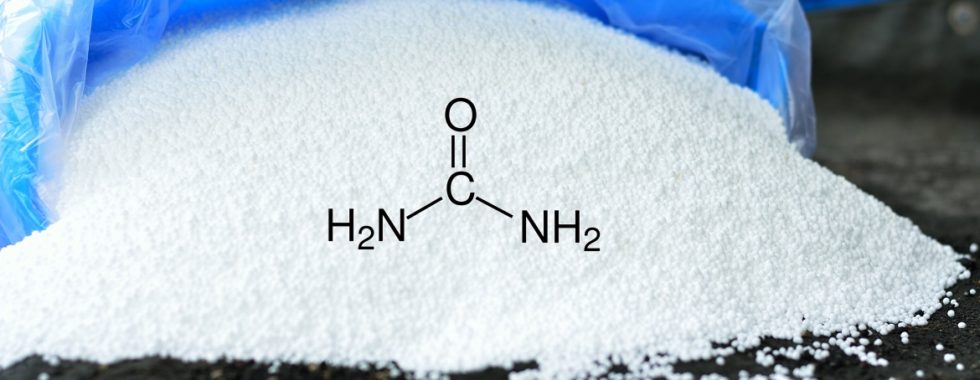 What Is Urea?