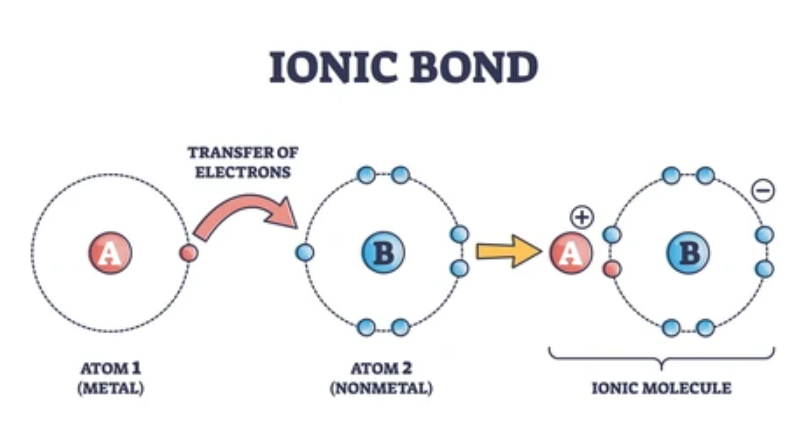 What is an Ionic Bond