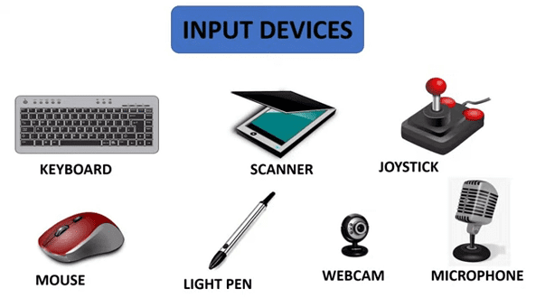 What Is Input