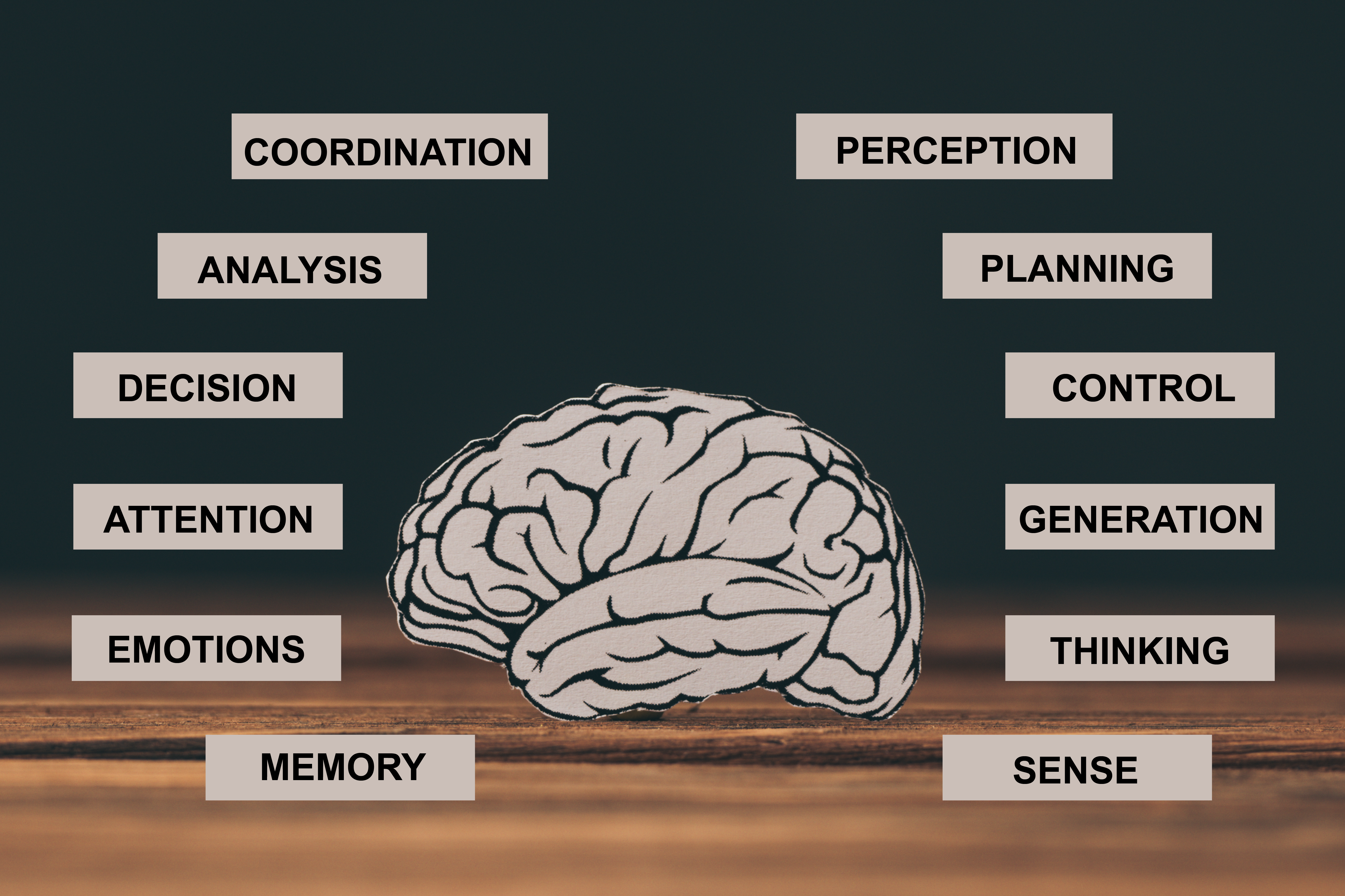 What Is Cognitive?