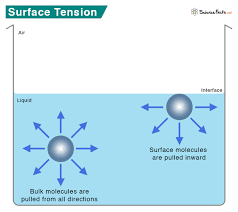 What is Surface Tension