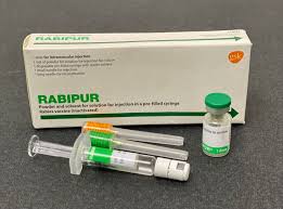 Rabies Vaccine - Everything you need to know