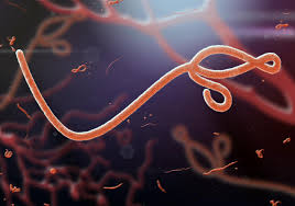 Ebola - Everything you need to know