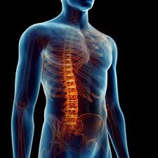 Transverse Myelitis - Everything you need to know