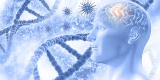 Lambert‐Eaton Syndrome