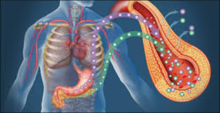 Metabolic Syndrome - Everything you need to know