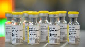 Yellow Fever Vaccine - Everything you need to know