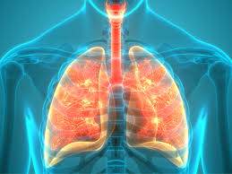 Bronchitis – Everything you need to know